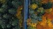 Cloudy.pk - Wednesday 2022 Hindi Dubbed Season 1