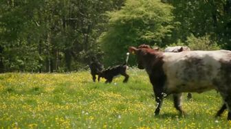Clarksons Farm S05E06 Frazzling 720p AMZN WEB-DL DDP5 1 H 264-RAWR