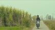 Cloudy.pk - Gangster Vs State 2 2021 Punjabi